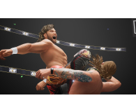 PC AEW: Fight Forever - 1065272 - zdjęcie 4